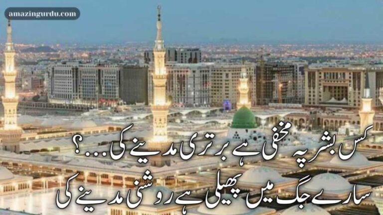 کس بشر پہ مخفی ہے برتری مدینے کی | مدینہ پر اشعار |madina poetry in urdu