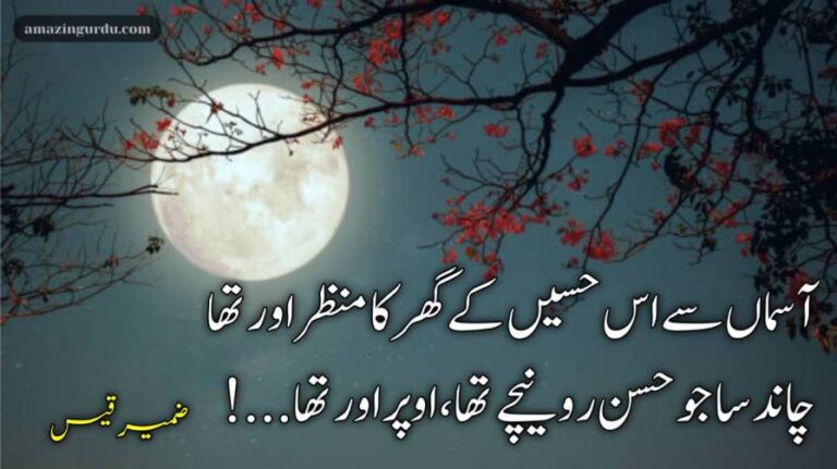 آسماں سے اس حسیں کے گھر کا منظر اور تھا | اردو غزل محبت | Best ghazal in urdu