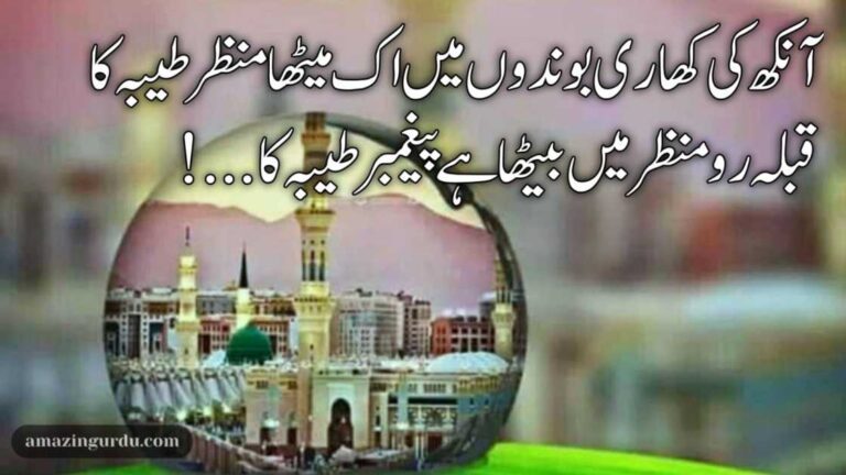 آنکھ کی کھاری بوندوں میں اک میٹھا منظر طیبہ کا | مدینہ پر اشعار |Madina poetry in urdu