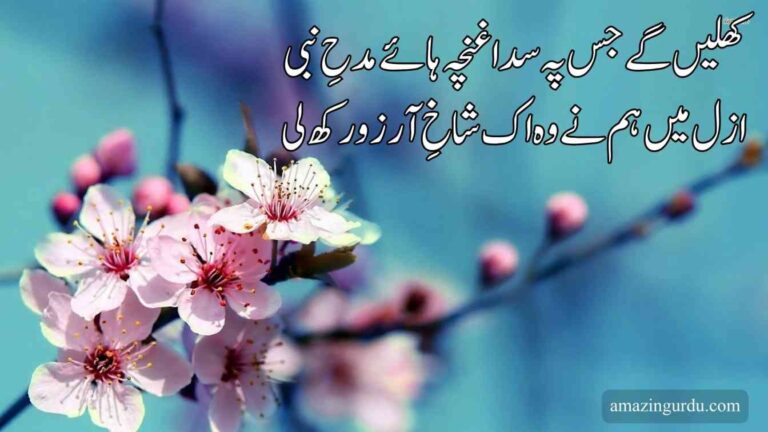 تلاشِ نعت کی سینے میں جستجو رکھ لی | خوبصورت اردو نعت | Naat text in urdu