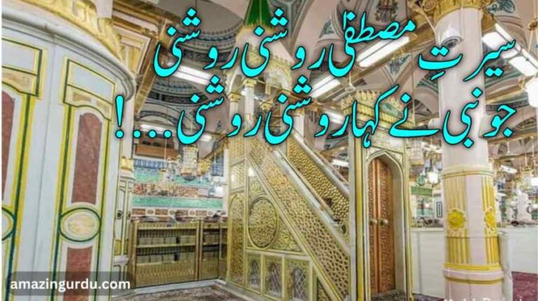 سیرتِ مصطفیٰ روشنی روشنی | نعت رسول مقبول | poetry for naat in urdu