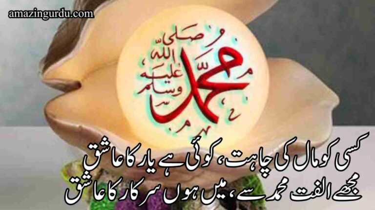 مجھے الفت محمد سے، میں ہوں سرکار کا عاشق | عشق رسول پر خوبصورت نعت | poetry for naat