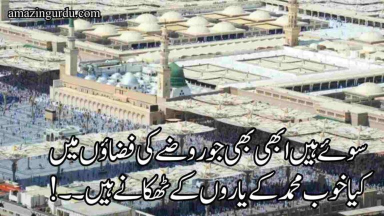 ہونٹوں پہ میرے ہر دم کچھ خاص ترانے ہیں| شان صحابہ پر کلام