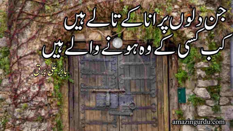 جن دلوں پر انا کے تالے ہیں کب کسی کے وہ ہونے والے ہیں | attitude poetry in urdu 2 lines text