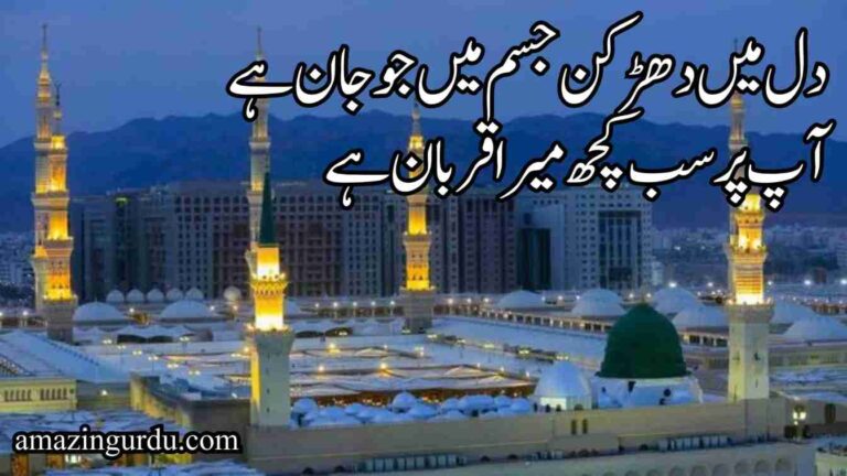 دل میں دھڑکن جسم میں جو جان ہے آپ پر سب کچھ میرا قربان ہے | نعت رسول اردو