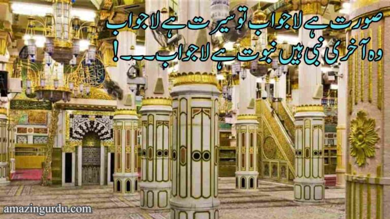 صورت ہے لاجواب تو سیرت ہے لاجواب | نعت رسول مقبول | Naat poetry in Urdu two lines