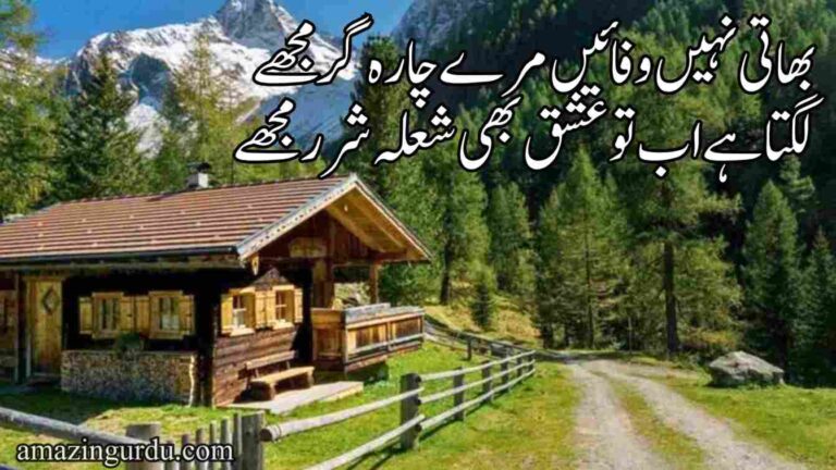 بھاتی نہیں وفائیں مرے چارہ گر مجھے لگتا ہے اب تو عشق بھی شعلہ شرر مجھے