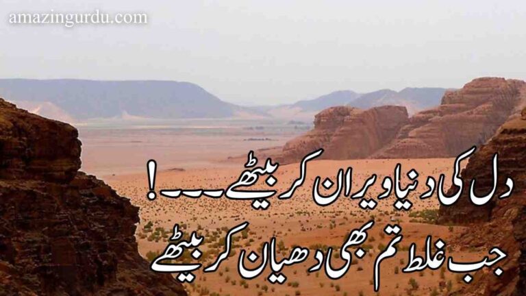 دل کی دنیا ویران کر بیٹھے جب غلط تم بھی دھیان کر بیٹھے | اردو اسلامی شاعری