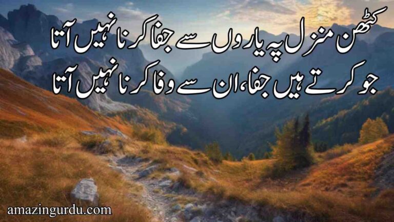 کٹھن منزل پہ یاروں سے جفا کرنا نہیں آتا | دوستی پر اشعار |poetry in urdu for friends
