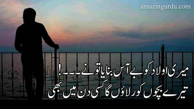 تجھ کو اوقات بتاؤں گا کسی دن میں بھی | انقلابی شاعری |inqalabi poetry in urdu