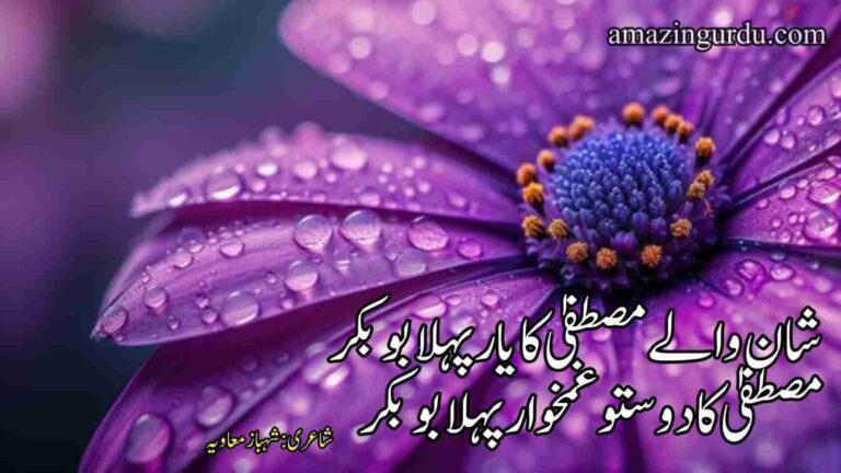 شان والے مصطفیٰ کا یار پہلا بوبکر |خلیفہ اول حضرت ابوبکر صدیق کی شان میں اشعار